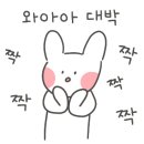 울산오란다 이미지
