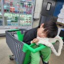 우재농장 이미지