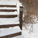 숲체원 | 횡성 숙소 / 국립횡성숲체원 :: 겨울 숲캉스 솔직후기