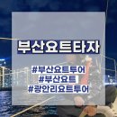 해원초등학교 | 드론쇼와 함께 부산 요트 투어 광안리 요트타자 8시 타임 후기