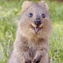 GS25 남대학사점 | 잔류하다