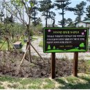 우도초등학교 이미지