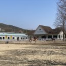 통도승마랜드 이미지