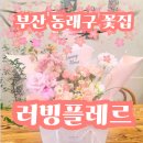 부산 동래구 꽃집 추천 | 부산 결혼 인사 꽃다발 추천 | 러빙플레르 내돈내산 솔직후기