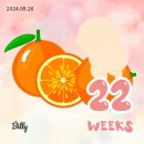 (Week 22,23) 임신 22주, 23주_정밀초음파, 화담숲, 수원행궁 야간개장