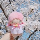 화랑유원지 옆 이미지