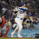 컵스그라운드 이미지