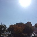미송온천호텔