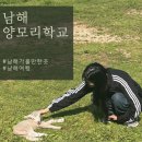 남해 여행 커플 데이트 양모리학교 먹이주기체험 가격 및 주차정보