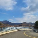 스완흑염소 이미지