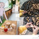 경기도 핫플 [유니스의정원]
