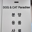 야옹아멍멍해봐(주월점) 이미지