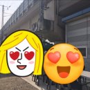양주시장애인복지회 양주시지회 | 경기도 양주시 장애인 복지회 2019 척사대회