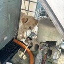 살랑살랑 이미지