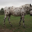 승용목장 이미지