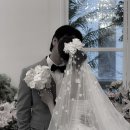 서울누비 | 서울 가성비 아이폰스냅 추천 누비스냅 촬영 후기