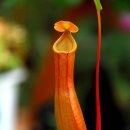 쇠꼴마을 이미지