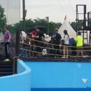 금강산파크 이미지