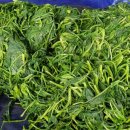 구주령 산채농원 이미지