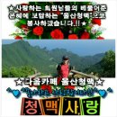 "울산청맥" 창립15주년 기념산행 불광산 시명산 삼각산&기념행사 축하 파뤼(16년 9월4일.일요일) 이미지