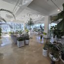 몰토커피 | 창원 귀산 싱그러운 식물카페 몰토