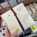 [츄부 알펜루트] 5. 도야마 - 아쉬움 가득, 그래도 돼지런했던 (다이와 로이넷 도야마 / 시로에비테이...