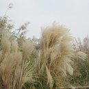 월드컵경기장역(6) 이미지