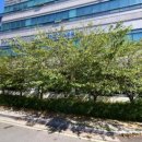 좌동순환로 34 이미지