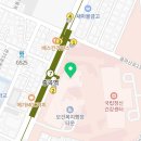 가족뮤지컬 <수피아의 노래> 이미지