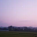 장수어장 이미지