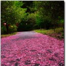 문수사 승강장 이미지