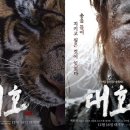 대호 이미지