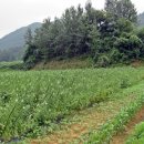 올젠테크놀로지 이미지