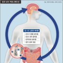 브레인생활건강 이미지