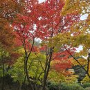 소요산관광지야외음악당 네이버블로그