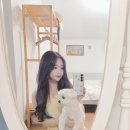 13월봄 | 애견동반 동화같은 제주도 애월 감성 숙소 | 13월봄