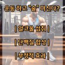 요가테스 B | 운동 후 술이 근육 성장에 미치는 영향, 단백질 합성 효과 감소, 회복 영양 관리