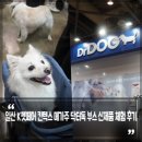 (주)케이플러스팜 | 2025년 펫박람회 일산 케이 펫페어 킨텍스 메가주 닥터독 부스 신제품 체험 후기