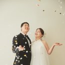 디플랜트 이미지