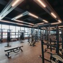 휘트니스 휴 이미지