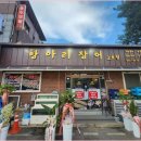 항아리장어 이미지