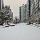 송지고등학교 이미지