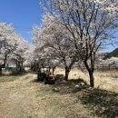 경상남도 산촌유학교육원 이미지