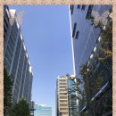 가산동세무사 국세청 경력 세무사사무실 상담