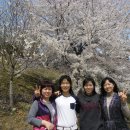 인동체육관 이미지