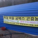 북실농장 네이버블로그