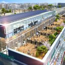 라퍼스트 이미지