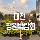 한밭수목원 | 대전 한밭수목원 2025 정원박람회 아이랑 방문후기