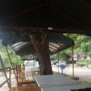 한성산장 이미지