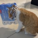 봉 노래연습장 | Skip 2025